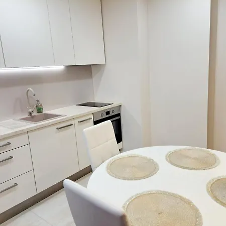 Two-bedroom With Living Close To The Old Town Kaunas